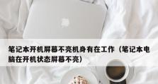电脑开机屏幕无反应的原因及解决方法（分析常见原因，解决开机屏幕无显示问题）