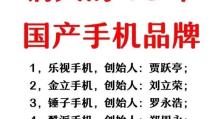 乐视手机播放器，多功能实用的影音工具（完美结合高清画质与全新体验，带给您极致的娱乐享受）