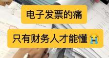 电子发票的便利与推广（探讨电子发票的应用优势及未来发展前景）