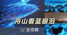 华为Mate9，性能与颜值兼备的旗舰之选（华为Mate9的强大性能和优美外观成就了绝佳用户体验）