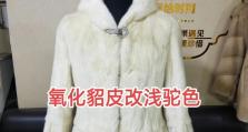 正确的貂皮护理方法（掌握关键步骤，呵护你的贵宾动物）