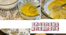 如何让蛋出小鸡的秘密（揭秘孵化蛋的技巧，让您轻松孵化小鸡）