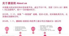 蘑菇街的发展现状及前景展望（探索蘑菇街的商业模式和市场表现，展望未来发展的）