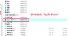 使用U盘安装2003系统教程（快速简便的安装方法，轻松体验Windows2003系统）